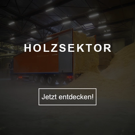 Holzsektor
