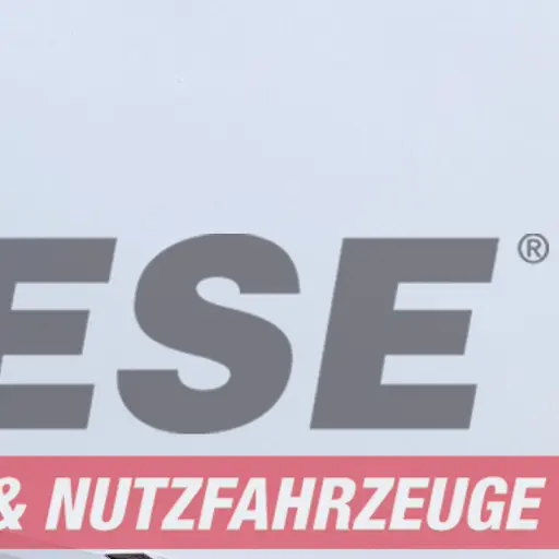 Wiese Abrollkipper von Wiese Trailer Rent in Petershagen mieten ab 1850.00€